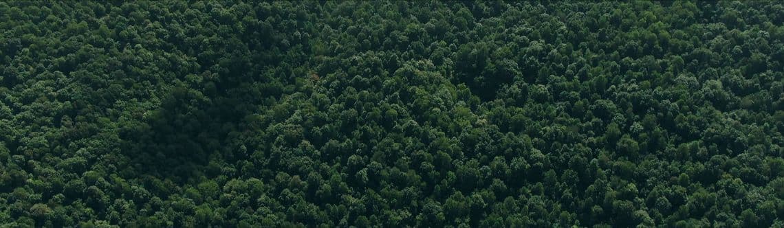 section background