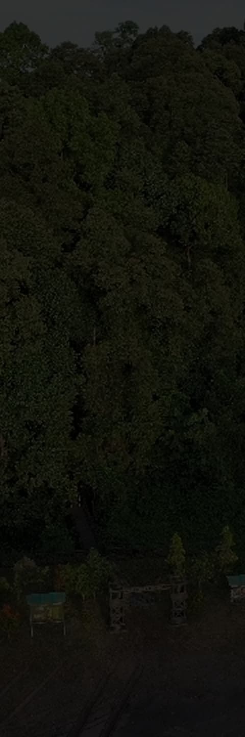 inside-tbs-side-image