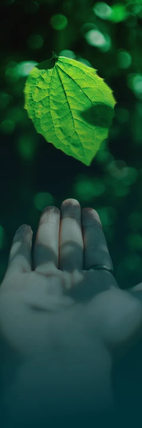 new-sustainability-thriving-environment-sidebar