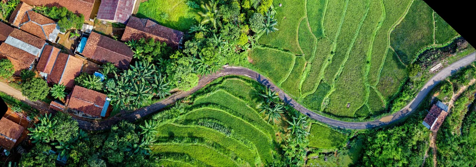 new-sustainbility-image