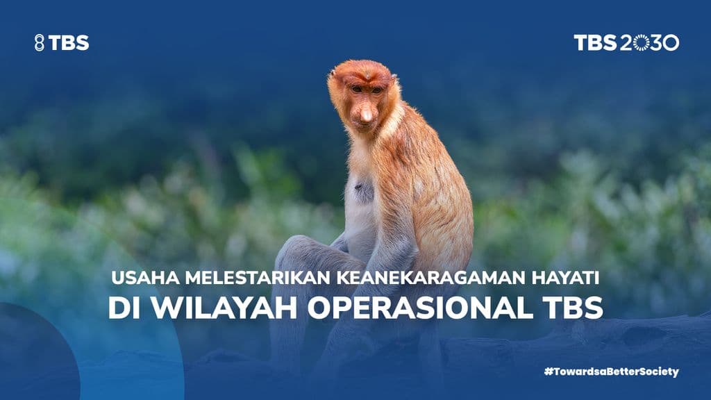 tbs